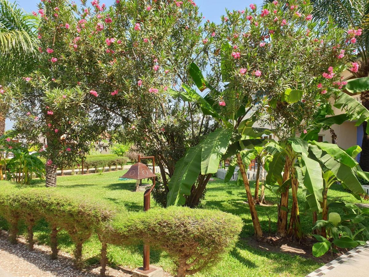 Djeliba Resort Serrekunda Dış mekan fotoğraf